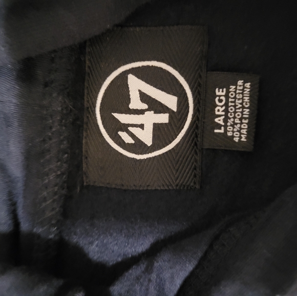 EUC '47 MLB Chicago Cubs 2016 World Series championship Hoodie sweatshirt sz. L - Picture 4 of 4